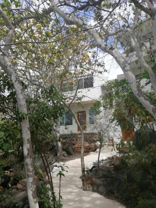 Apartment Brisa Del Mar San Cristobal